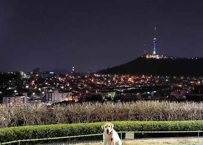 Newly Renovated Hidden Gem #2 Villa Seul